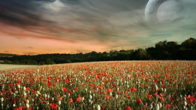 《魔兽世界》以前有什么好玩有趣的老技能?